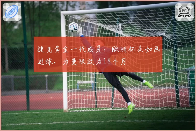 捷克黄金一代成员，欧洲杯美如画进球，为曼联效力18个月