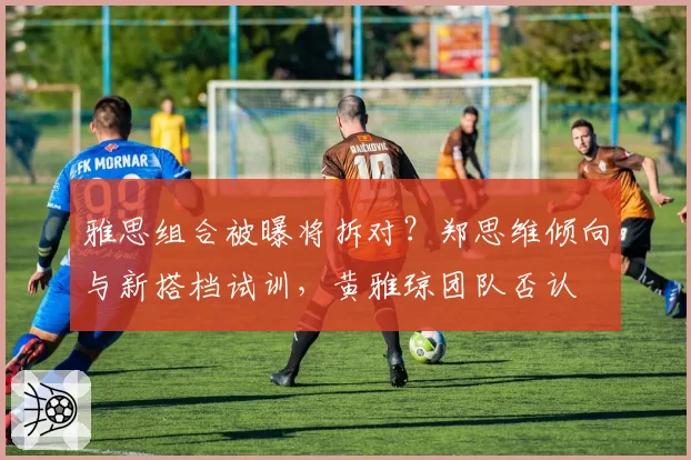 雅思组合被曝将拆对？郑思维倾向与新搭档试训，黄雅琼团队否认