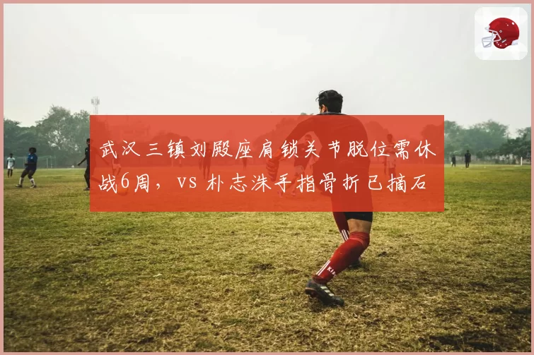 武汉三镇刘殿座肩锁关节脱位需休战6周，vs 朴志洙手指骨折已摘石膏，门将与后卫归队节奏不同