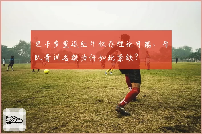 里卡多重返红牛仅存理论可能，母队青训名额为何如此紧缺？