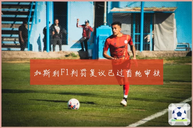 加斯利F1判罚复议已过首轮审核