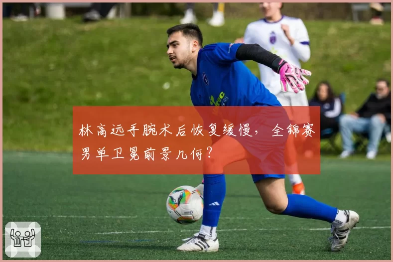 林高远手腕术后恢复缓慢，全锦赛男单卫冕前景几何？